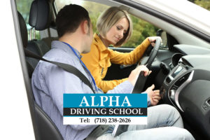 alpha driving school